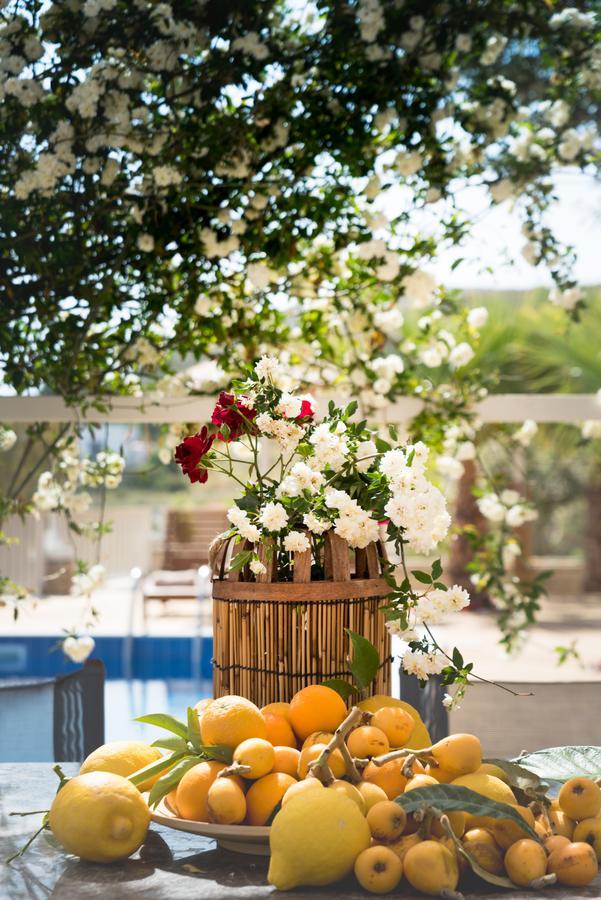 Aristidis Country Villa-Anesis Καμηλάρι Εξωτερικό φωτογραφία